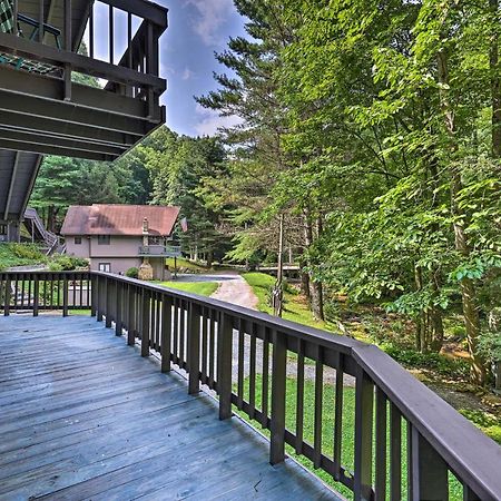 Roan Mountain Creekside Cabin Hike And Fish! Exteriör bild