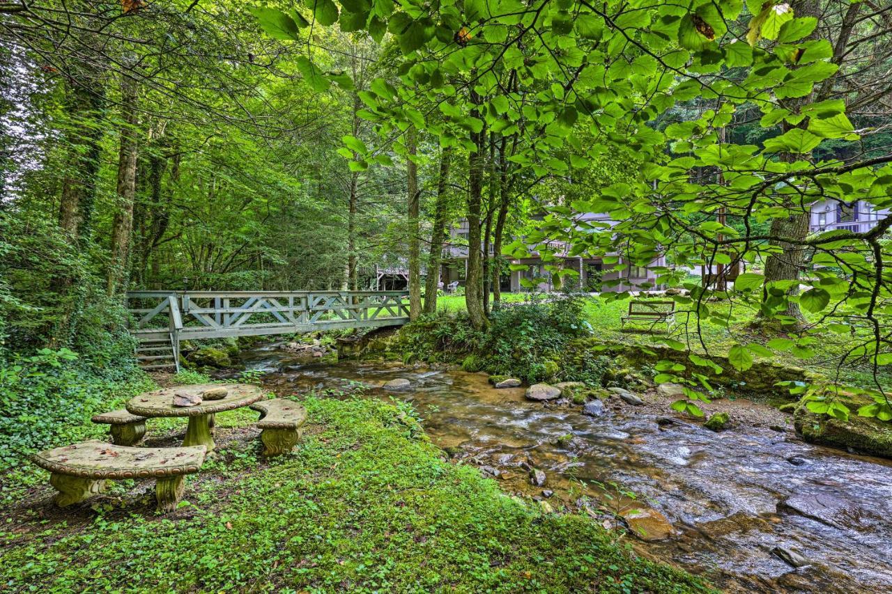 Roan Mountain Creekside Cabin Hike And Fish! Exteriör bild