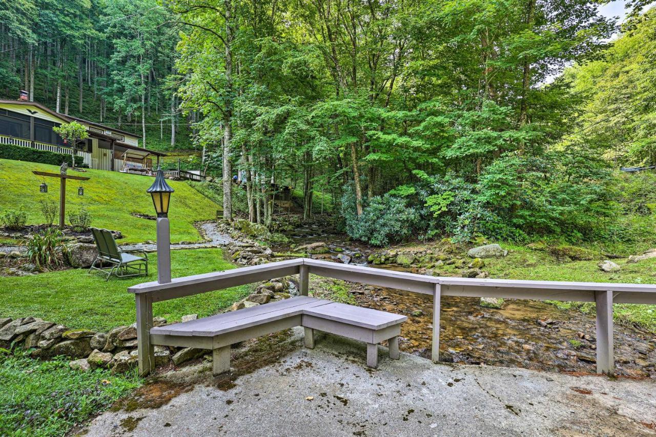 Roan Mountain Creekside Cabin Hike And Fish! Exteriör bild
