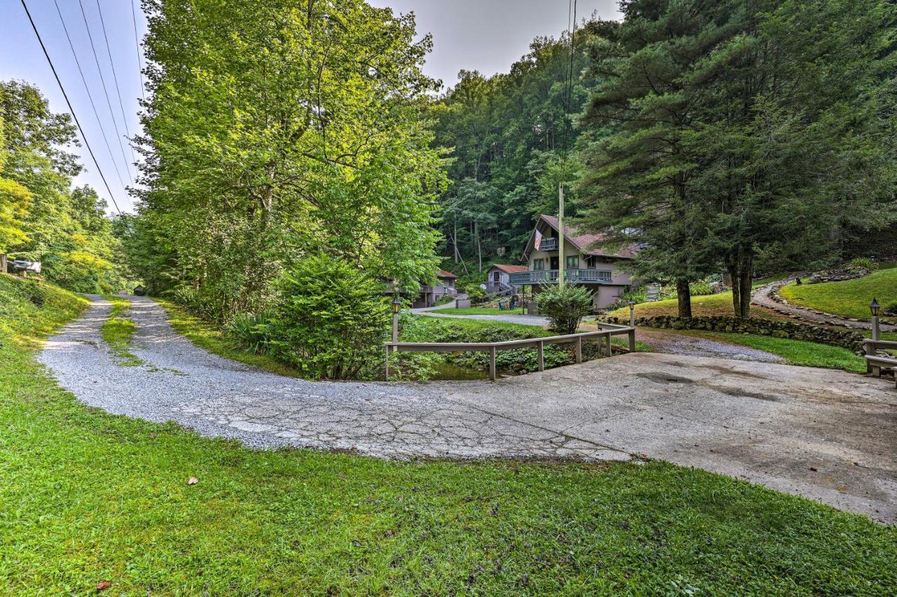 Roan Mountain Creekside Cabin Hike And Fish! Exteriör bild
