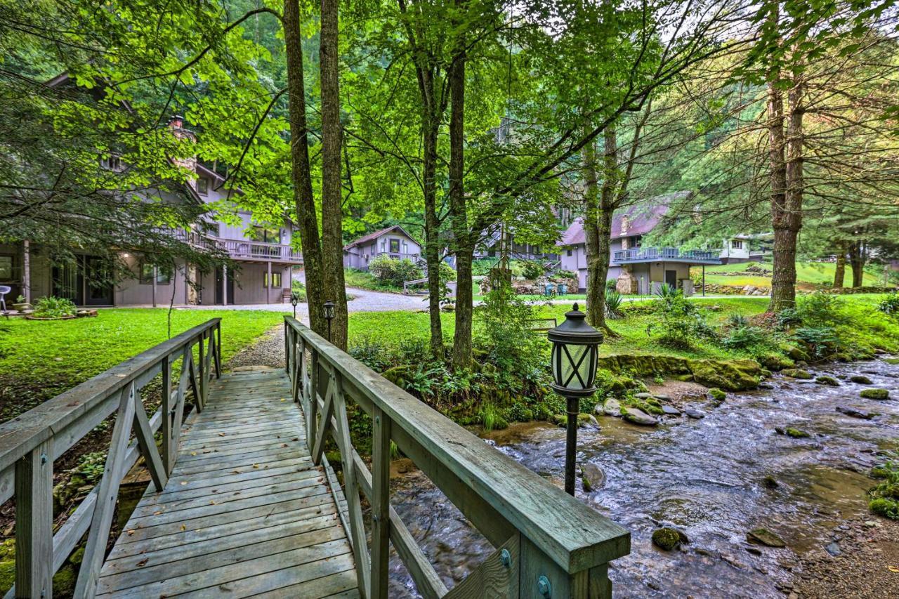 Roan Mountain Creekside Cabin Hike And Fish! Exteriör bild